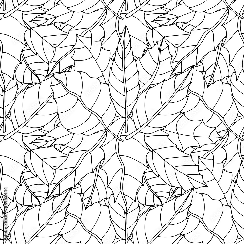 Fototapeta premium leaf background
