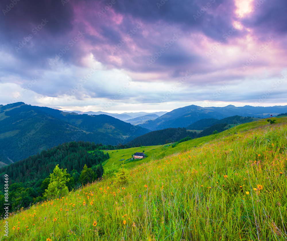Fototapeta premium Colorful summer sunrise in the Carpathian mountains
