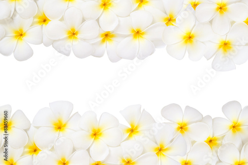 Spa flowers frame isolated on white background. © piyaset