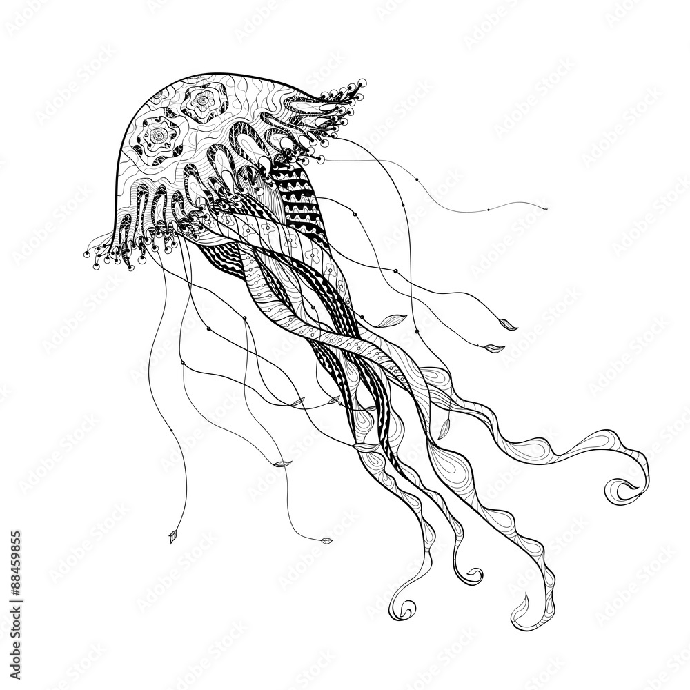 Obraz premium Doodle sketch medusa jellyfish black line