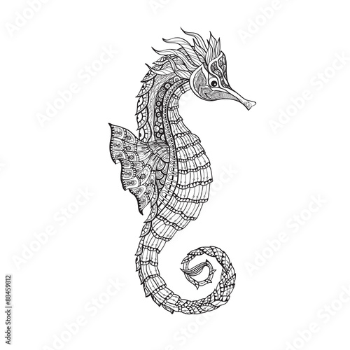 Doodle sketch seahorse black line
