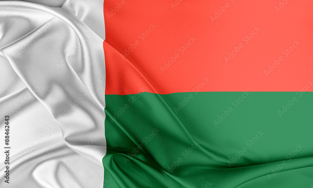 Madagascar Flag. Madagascar Flag.