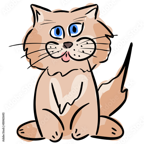Gatto