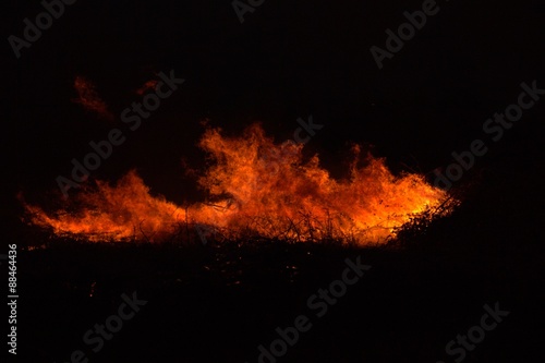 Twigs burning at park in thailand disaster in bush forest with fire spreading in dry woods.