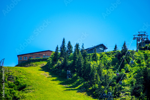 Wallpaper Mural Arber Torontodigital.ca