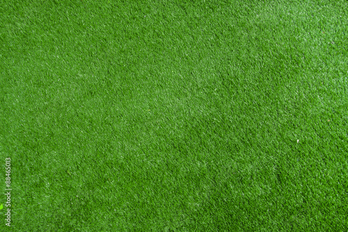 Pattern of fresh green lawn