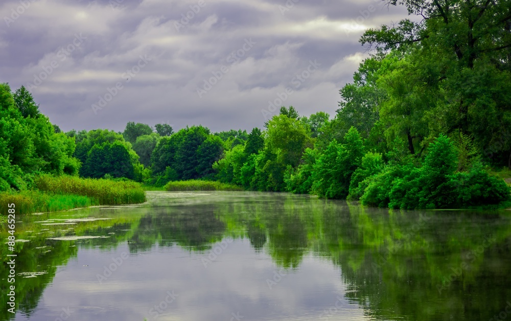 Sunny day on a calm river in summer