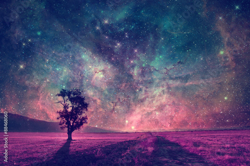 alien landscape with alone tree in the meadows-elements of this image are furnished by NASA