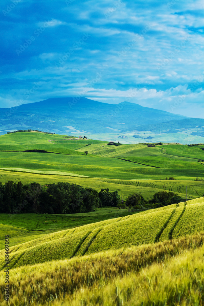 Beautiful and miraculous colors of green spring landscape of Tus Beautiful and miraculous colors of green spring landscape of Tus