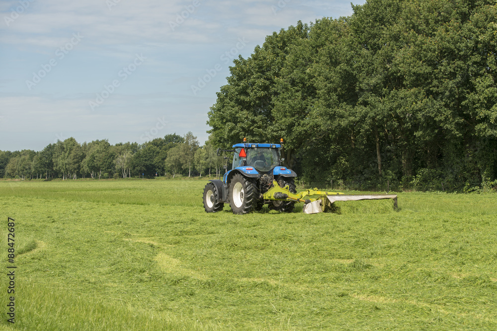 Agriculture, pasture mowing with blue tractor . Agriculture, pasture mowing with blue tractor .