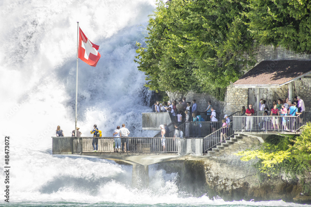 Fototapeta premium Rheinfall - Neuhausen - Schweiz