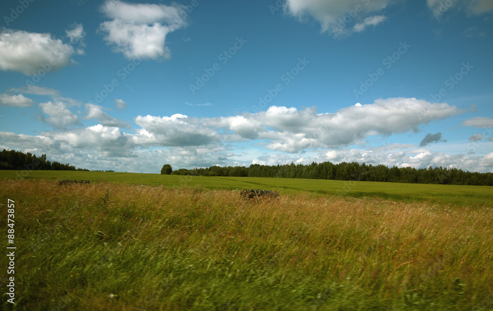 Obraz premium rural landscape field forest