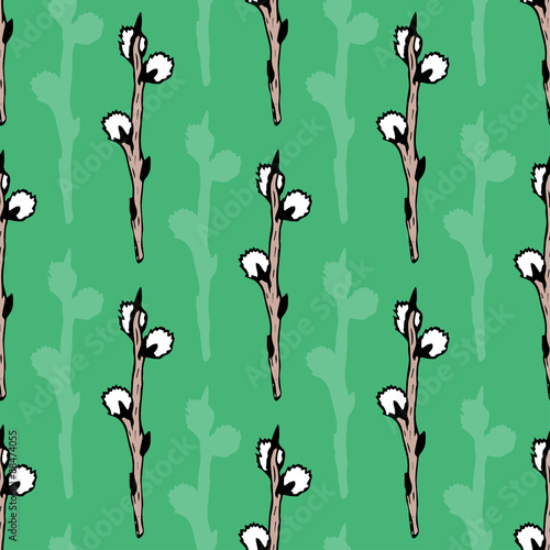 Hand drawn pussy willow branches background. Vector illustration.