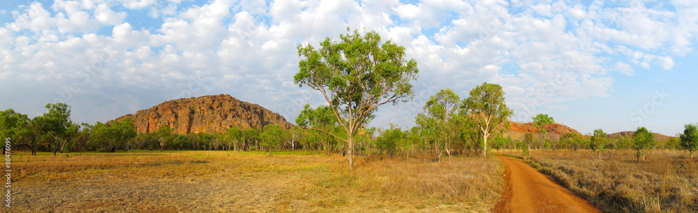 Fototapeta premium outback road, australia