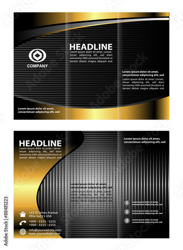 Tri fold brochure template vector

