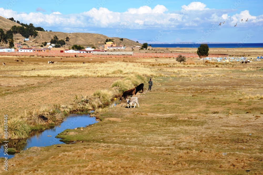 Bolivian village on the shores of lake Titicaca
