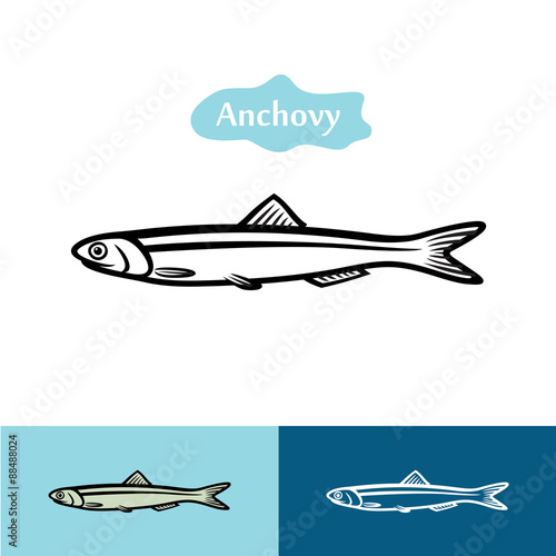 Anchovy silhouette logo photo