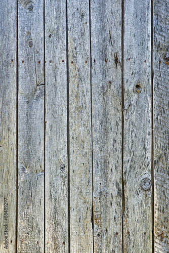 Old wood texture with natural patterns
