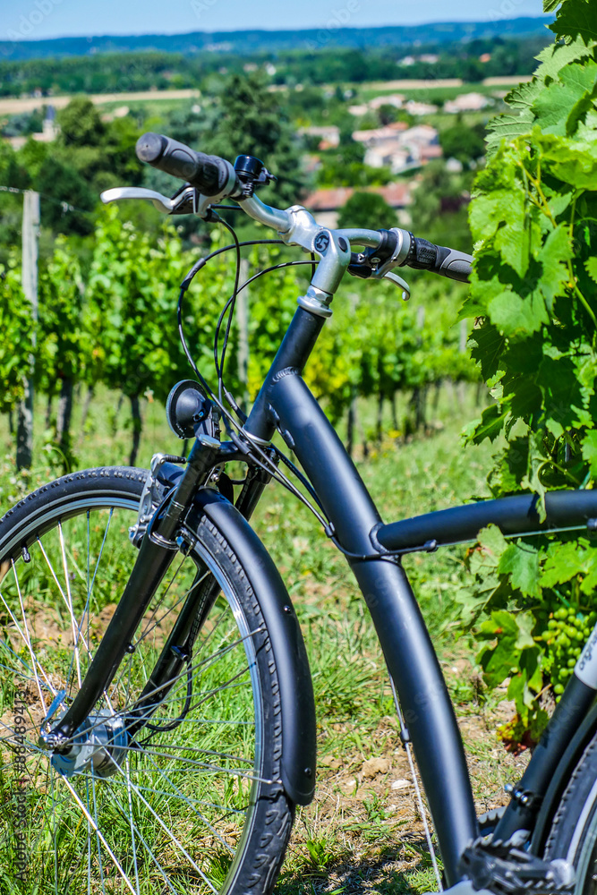 Obraz premium Wine Tourism-Bicycle in Bordeaux vineyards