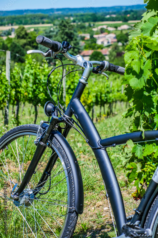 Wine Tourism-Bicycle in Bordeaux vineyards