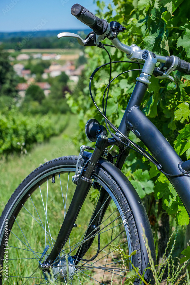 Wine Tourism-Bicycle in Bordeaux vineyards