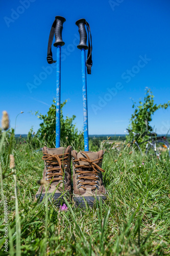 Wine Tourism-Pair of hiking shoes in the grass surrounded vineya photo