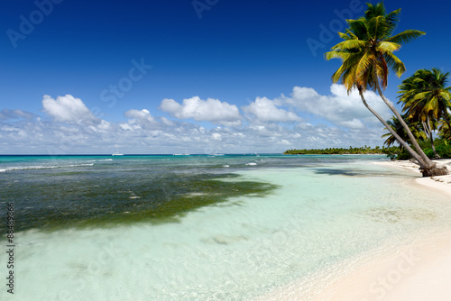 Fototapeta Naklejka Na Ścianę i Meble -  Amazing view of Caribbean beach with white sand and beautiful ex