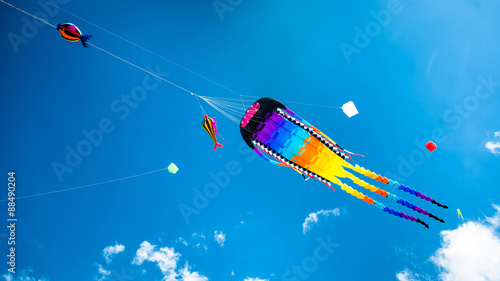 Various kites flying on the sky