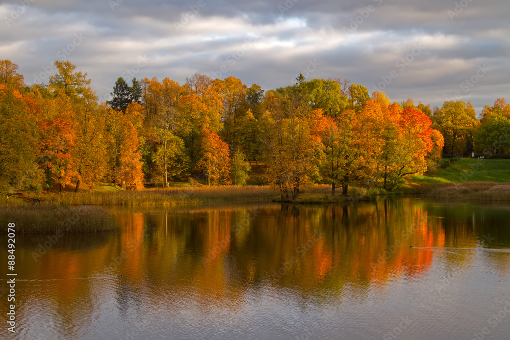 Autumn colorful foliage over lake with beautiful woods in red and yellow color. Autumn colorful foliage over lake with beautiful woods in red and yellow color.