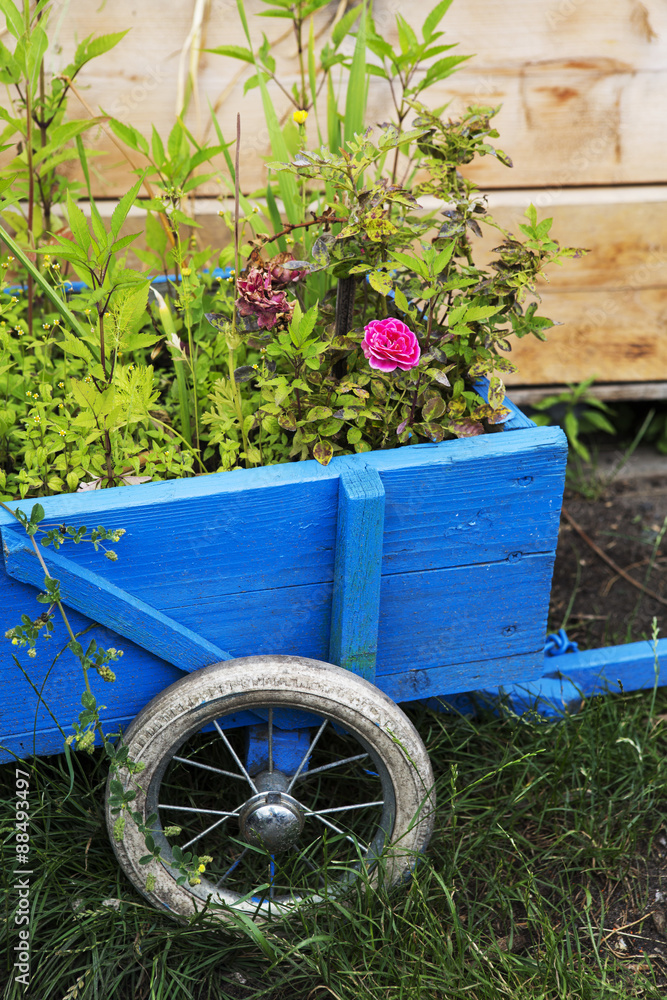 flowers in a wooden wheelbarrow