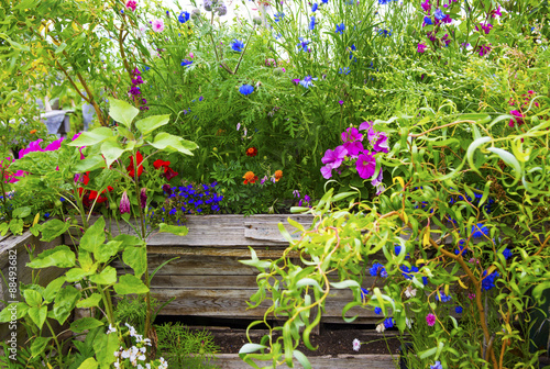 wild green flower garden