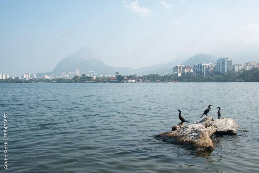 Fototapeta premium Rodrigo de Freitas Lagoon