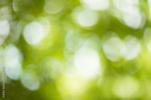 Abstract out of focus with green nature background