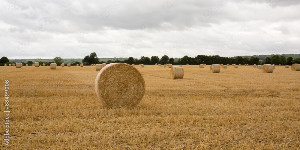 Summer Farm Scenery with Haystack on the Background of Beautiful Sunset. Agriculture Concept. Summer Farm Scenery with Haystack on the Background of Beautiful Sunset. Agriculture Concept.