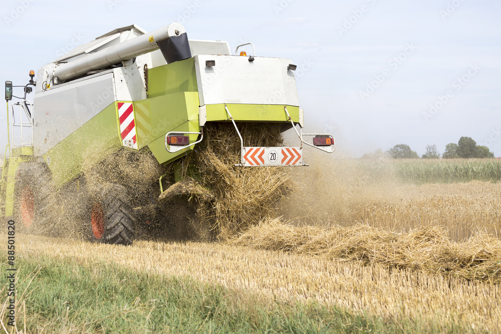 Obraz premium cutting mechanism in harvester