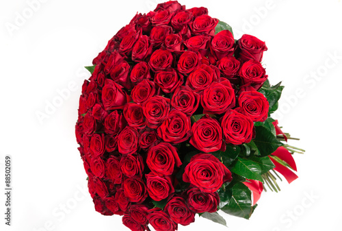 Isolated large bouquet of 101 red rose isolated on white
