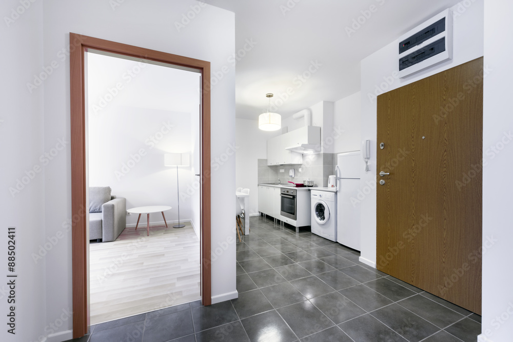 Small, white modern kitchen interior design