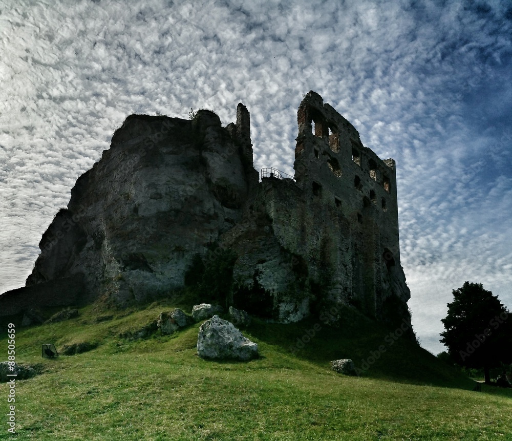 Fototapeta premium Ruiny zamku