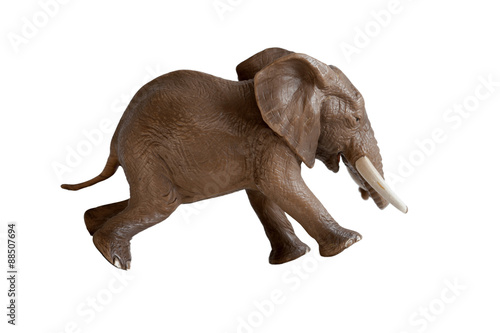 elephant running isolated