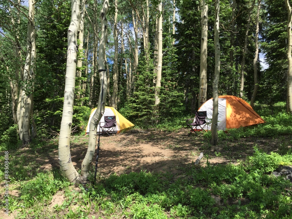 tent camping in Colorado фотография Stock Adobe Stock