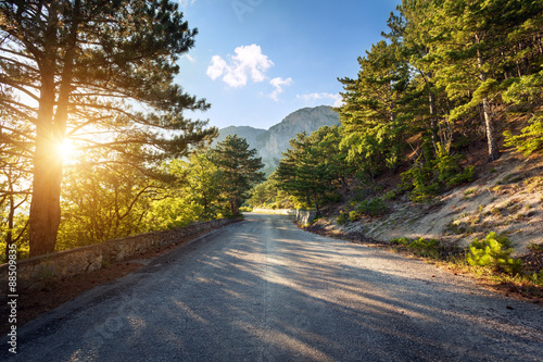 Asphalt road in summer fore...