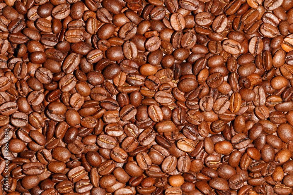 Kaffeebohnen, frisch geröstet Kaffeebohnen, frisch geröstet