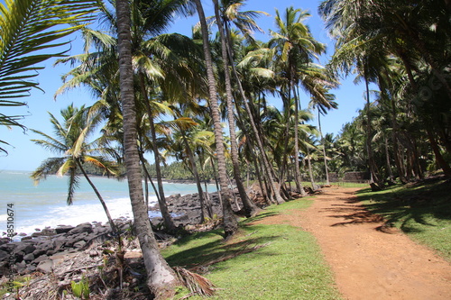 Guyane - Les îles du Salut - Aout 2015 