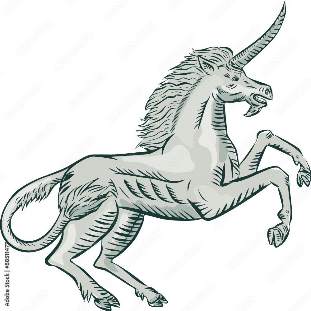 Fototapeta premium Unicorn Horse Prancing Side Etching