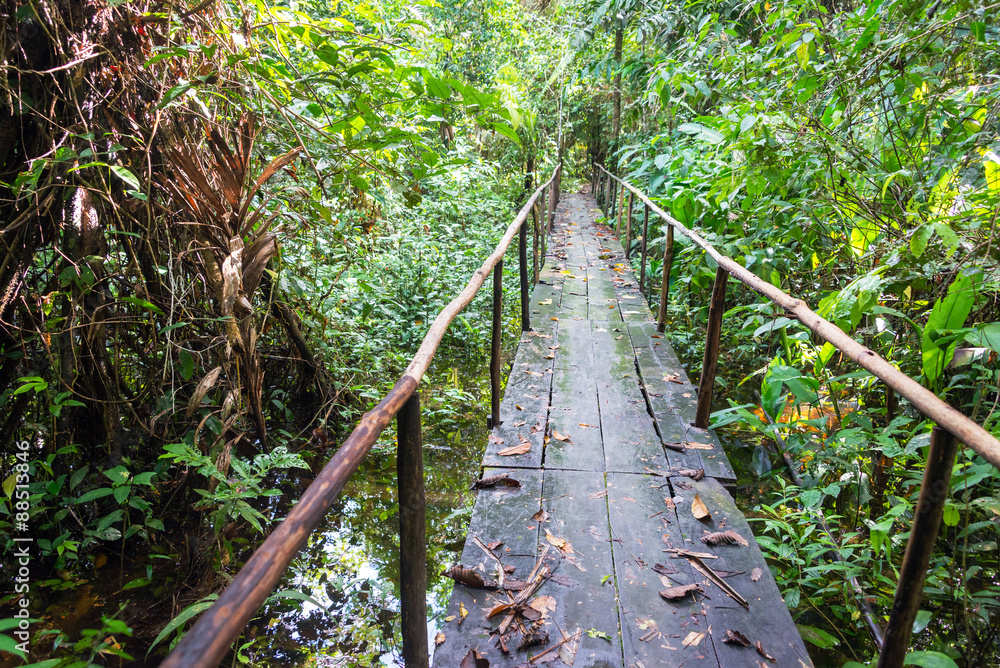Obraz premium Wooden bridge passing over a small creek in the Amazon jungle near Iquitos, Peru