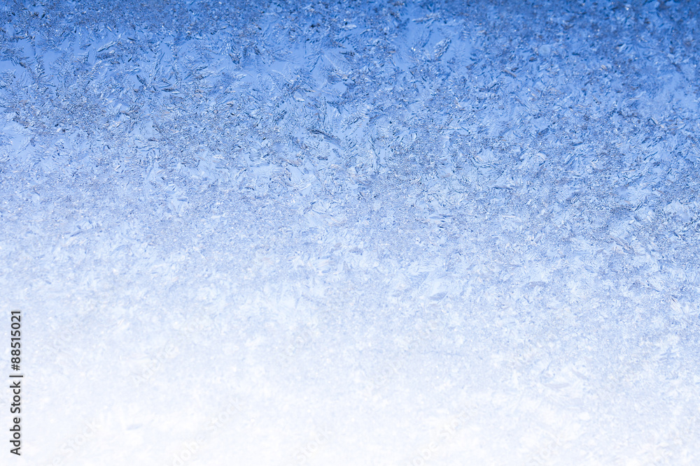 Obraz premium Icy Frost on winter morning