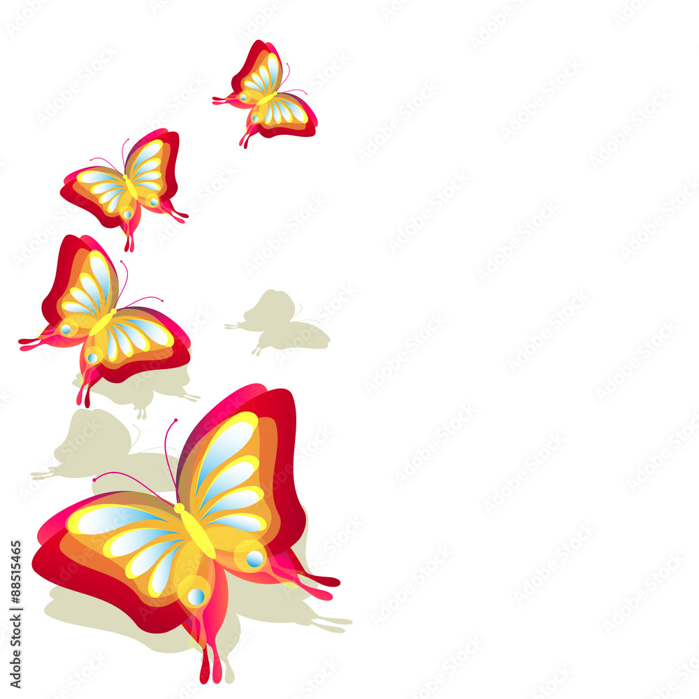Obraz premium butterflies design