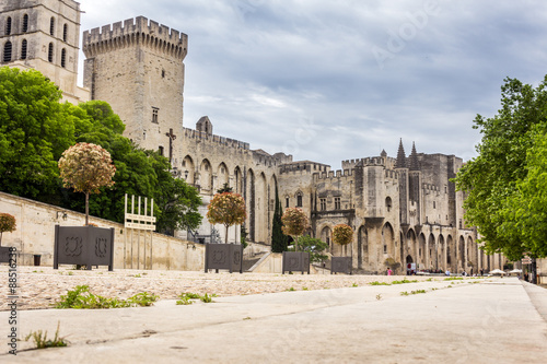 Popes' Palace in Avignon, France, Europe