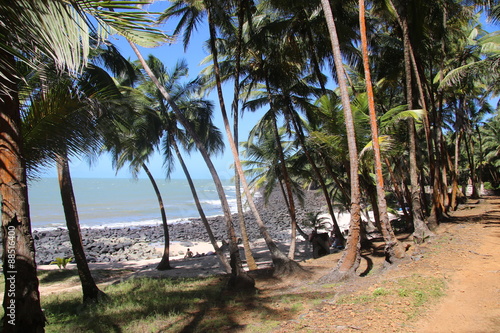 Guyane - Les Îles du Salut - Août 2015