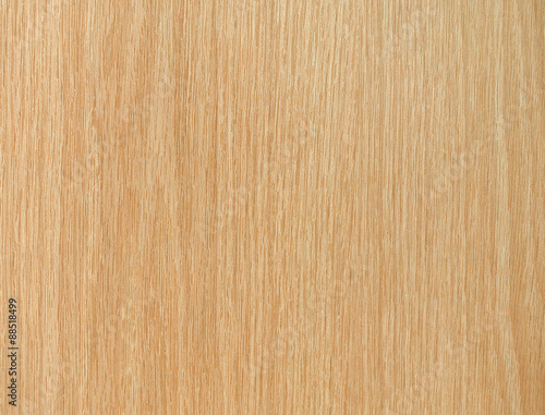 Close up of wooden texture with natural patterns